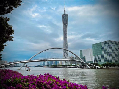 上海市黄浦区品茶